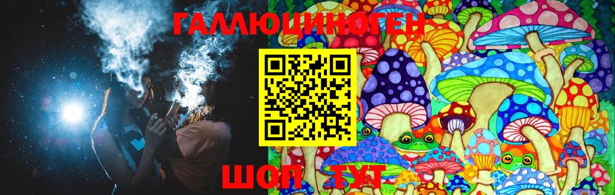 Ессентуки  Псилоцибиновые грибы Psilocybine cubensis  Вход с VPN 