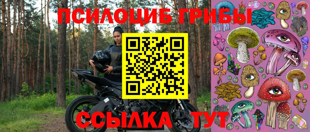 Марихуана  Кокаин  Вход с VPN  Мефедрон кристаллы  Ессентуки  ГАШ  ЭКСТАЗИ 