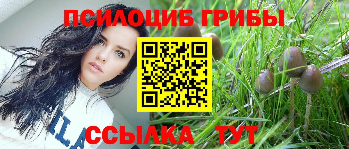 Псилоцибиновые грибы мухоморы Ессентуки